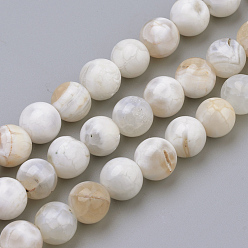 Blanc Floral Perles en agate naturelle patinée, teint, ronde, floral blanc, 8mm, Trou: 1mm, Environ 50 pcs/chapelet, 15.7 pouce (39.8 cm)