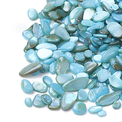 Sky Blue Shell Beads, No Hole Beads, Dyed, Chip, Sky Blue, 1~15x1~15x0.5~5mm, about 450g/bag