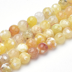 Jaune Brins de perles d'agate craquelée de feu naturel teint, ronde, jaune, 8~8.5mm, Trou: 1mm, Environ 47 pcs/chapelet, 15.5 pouce