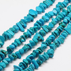 Turquoise Copeaux de perles de magnésite naturelle brins, teint, turquoise, 7~14x6~10mm, Trou: 1mm, 16.1 pouce