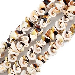 Spiral Shell Natural Spiral Shell Beads Strands, Cone, 5.5~13x7~11x5~9mm, Hole: 1.2mm, about 76pcs/strand, 14.65 inch(37.2cm)