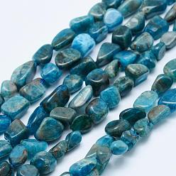 Apatite Natural Apatite Beads Strands, Tumbled Stone, Nuggets, 5~12x4~9mm, Hole: 1mm, 15.7 inch~15.9 inch(40~40.5cm)