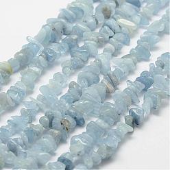 Light Sky Blue Natural Aquamarine Beads Strands, Chip, Grade AA, Light Sky Blue, 3~5x7~13x2~4mm, Hole: 0.4mm, about 31.5 inch(80cm)