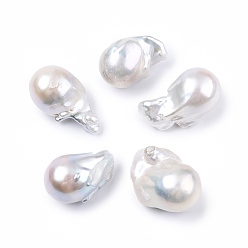 Coquillage De Mer Perles de keshi baroques naturelles, eau douce perles de nacre, sans trou, nuggets, couleur de coquillage, 26~32x17.5~21.5x17mm