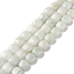 Other Jade Natural Myanmar Jade Beads Strands, Square, 8.5x8x5mm, Hole: 1mm, about 46pcs/strand, 15.35''(39cm)