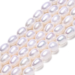Coquillage De Mer Brins de perles de culture d'eau douce naturelles, riz, couleur de coquillage, 6~7x5mm, Trou: 0.7mm, Environ 52~54 pcs/chapelet, 13.86 pouces ~ 14.37 pouces (35.2~36.5 cm)