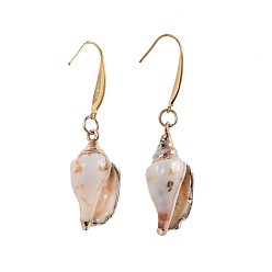 Shell Electroplated Conch Shell Dangle Earrings, with 316 Surgical Stainless Steel Earring Hooks, 50.5~52mm, Pin: 0.7mm