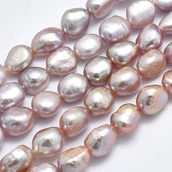 Chardon Brins de perles de culture d'eau douce naturelles, ovale, chardon, 10~14x7~9mm, Trou: 0.8mm, Environ 37~38 pcs/chapelet, 13.7 pouces ~ 14.1 pouces