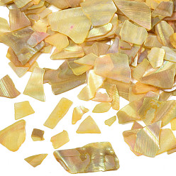 Gold Natural Abalone/Paua Shell Mica Fragment, Nail Art Decorations, Shell Mica Slices, Dyed, Gold, 1~20x1~15x0.5mm