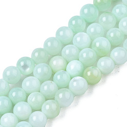 Cyan Clair Eau douce naturelle de coquillage perles brins, teint, ronde, cyan clair, 2.5mm, Trou: 0.5mm, Environ 122~136 pcs/chapelet, 14.57 pouces~15.63 pouces (37cm~39.7cm)