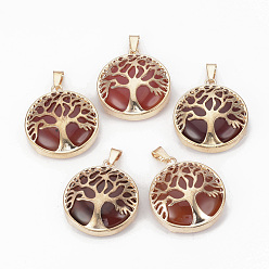 Carnelian Natural Carnelian Pendants, with Brass Findings, Flat Round with Tree of Life, Dyed, Golden, 30.5x27x8mm, Hole: 7x3mm