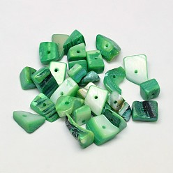 Green Dyed Natural Freshwater Shell Nuggets Chips Beads, Green, 10~20x5~15mm, Hole: 1mm, about 330pcs/500g