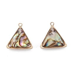 Paua Shell Natural Paua Shell Pendants, with Golden Brass Findings, Triangle, 17.5x17x5.5mm, Hole: 1.6mm