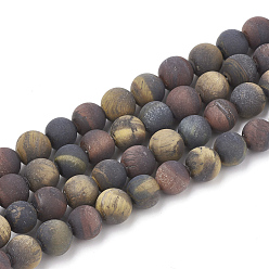 Tiger Eye Natural Tiger Eye Beads Strands, Frosted, Grade AB+, Round, 6mm, Hole: 1mm, about 63pcs/strand, 15.5 inch
