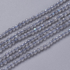 Labradorite Chapelets de perles labradorite naturelle , facette, ronde, 3~3.5x2.5~3mm, Trou: 0.3mm, Environ 114~141 pcs/chapelet, 15.1~16.4 pouce (38.4~41.8 cm)