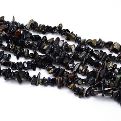 Tiger Eye Blue Tiger Eye Beads Strands, Chips, 5~8x5~8mm, Hole: 1mm, about 31.5 inch