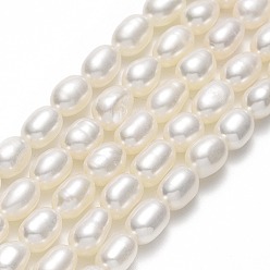 Lino Hilos de perlas de agua dulce cultivadas naturales, arroz, lino, 7~8.5x5~5.5 mm, agujero: 0.5 mm, sobre 52 unidades / cadena, 15.35'' (39 cm)