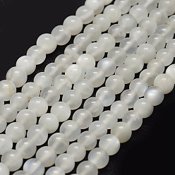 White Moonstone Natural White Moonstone Beads Strands, Round, 5mm, Hole: 1mm, about 80~83pcs/strand, 15.7 inch(40cm)