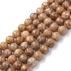Pérou Brins de perles en pierre naturelle maifanite / maifan, teint, ronde, Pérou, 8mm, Trou: 1.2mm, Environ 47 pcs/chapelet, 15.55'' (39.5 cm)