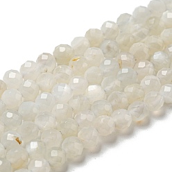 Moonstone Natural Moonstone Beads Strands, Faceted, Round, Grade AB, 4mm, Hole: 0.5mm, about 107pcs/strand, 15.35 inch(39cm)