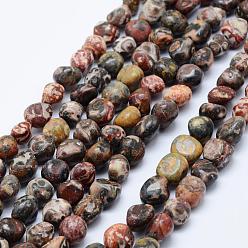 Léopard Perles de jaspe en peau de léopard naturel, pierre tombée, nuggets, 6~13x6~8mm, Trou: 1mm, 15.3 pouces ~ 15.7 pouces (39~40 cm)