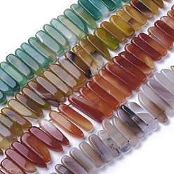 Couleur Mélangete Teints agate naturelle perles brins, forme croc, couleur mixte, 16.5~39x7.5~9.5x5.5~6.5mm, Trou: 1.5mm, Environ 38~40 pcs/chapelet, 14.8~15.3 pouce (37.5~39 cm)