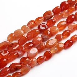 Botswana Agate Natural Botswana Agate Beads Strands, Tumbled Stone, Nuggets, 6.5~9.5x5.5~7.5x3.5~5.5mm, Hole: 0.8mm, about 50pcs/Strand, 15.67 inch(39.8cm)