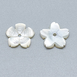 Seashell Color Natural White Shell Beads, Mother of Pearl Shell Beads, Flower, Seashell Color, 10x10x1.5mm, Hole: 1mm
