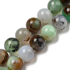 Serpentine Natural Serpentine Beads Strands, Round, 10mm, Hole: 0.8mm, about 41pcs/strand, 15.91~15.98''(40.4~40.6cm)