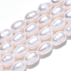 Seashell Color Natural Cultured Freshwater Pearl Beads Strands, Baroque Keshi Pearl Rice Beads, Seashell Color, 8.5~11x7~7.7mm, Hole: 0.7~0.8mm, about 19pcs/strand, 7.09 inch(18cm)
