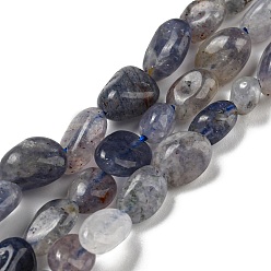 Iolite Perles naturelles Iolite brins, nuggets, pierre tombée, 3~11x4~8x3~6mm, Trou: 0.9mm, Environ 56 pcs/chapelet, 15.94''~15.75'' (40~40.5 cm)