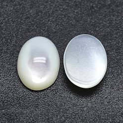Coquille Cabochons coquille, ovale, 10x8x3.5~4mm