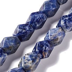Sodalite Natural Sodalite Beads Strands, Faceted, Rhombus, 13~19x9~17x9~17mm, Hole: 1mm, about 22pcs/strand, 15.83''~16.14''(40.2~41cm)