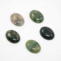 Moss Agate Mixed Oval Shape Natural Moss Agate Cabochons, Dyed, 20x15x5mm