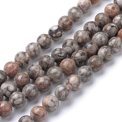 Maifanite Brins de perles en pierre naturelle maifanite / maifan, ronde, 10~11mm, Trou: 1mm, Environ 37~39 pcs/chapelet, 14.8~15 pouce