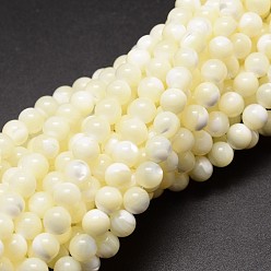 Creamy White Natural Sea Shell Beads Strands, Round, Creamy White, 8mm, Hole: 0.8mm, about 51pcs/strand, 15.75 inch