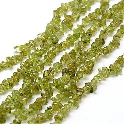 Olive Terne Péridot naturelles brins de perles, puce, vert olive, 3~5x7~13x2~4mm, Trou: 0.4mm, environ 32~32.5 pouce