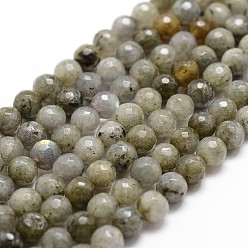 Labradorite Chapelets de perles labradorite naturelle , facette, ronde, 6mm, Trou: 1mm, Environ 61 pcs/chapelet, 14.9 pouces ~ 15.1 pouces