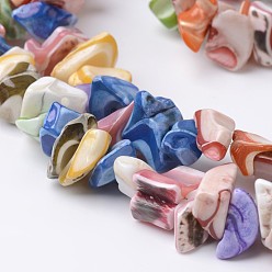Coloré Nuggets chips brins de perles de coquille naturelle, colorées, 5~8x5~15x2~5mm, Trou: 1mm, Environ 85 pcs/chapelet, 15.7 pouce