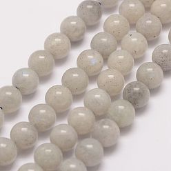 Labradorite Labradorite naturelle rangées de perles, ronde, 8mm, Trou: 1mm, Environ 47 pcs/chapelet, 15.5 pouce
