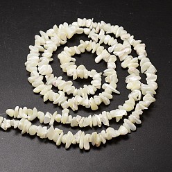 Creamy White Natural Trochid Shell/Trochus Shell Beads Strands, Shell Shards, Chip, Creamy White, 5~8x5~8mm, Hole: 1mm, 32 inch