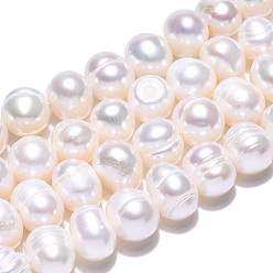 Coquillage De Mer Brins de perles de culture d'eau douce naturelles, pomme de terre, couleur de coquillage, 6.5~9x6.5~7.5mm, Trou: 0.6mm, Environ 52~54 pcs/chapelet, 13.58~13.98 pouce (34.5~35.5 cm)