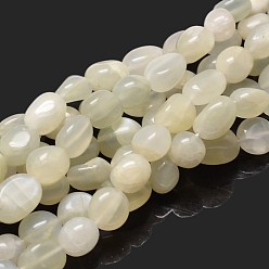 White Moonstone Pepitas de perlas de piedra de luna blanca natural hebras, piedra caída, 9~12x8~13x5~7 mm, agujero: 1 mm, aproximadamente 15.3 pulgada ~ 15.7 pulgada