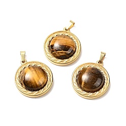 Tiger Eye Natural Tiger Eye Pendants, with Golden Tone 304 Stainless Steel Findings, Half Round Charm, 24.5x21x8mm, Hole: 3x6mm