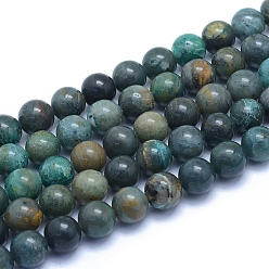 Chrysocolle Chapelets de perles chrysocolla naturelles , ronde, 8~8.5mm, Trou: 0.8mm, Environ 50 pcs/chapelet, 15.55 pouce (39.5 cm)