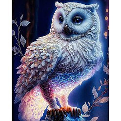 Colorful DIY Owl Diamond Painting Kit, Including Resin Rhinestones Bag, Diamond Sticky Pen, Tray Plate and Glue Clay, Colorful, 400x300mm