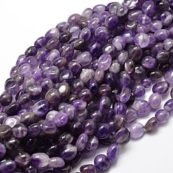 Amethyst Natural Amethyst Nuggets Beads Strands, Tumbled Stone, 5~10x6~7x3~7mm, hole: 1mm, about 14.9 inch~15.7 inch