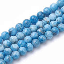 Natural Gemstone Natural Gemstone Beads Strands, Round, 8mm, Hole: 1mm, about 50pcs/strand, 15.7 inch