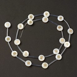 Trèfle Eau douce naturelle de coquillage perles brins, avec tranches de laiton et émail, couleur de coquillage, plat rond, horloge, 8.5x3.2mm, Trou: 0.7mm, Environ 20 pcs/chapelet, 15.55'' (39.5 cm)