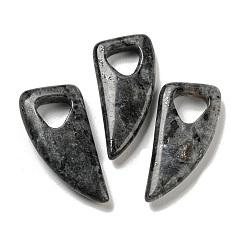 Labradorite Natural Labradorite Pendants, Horn Charms, 41~43x20x7.5~8mm, Hole: 10.5~11mm